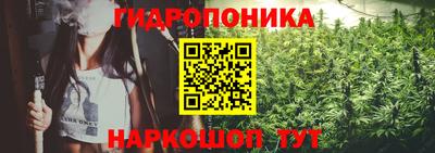 apvp Краснодар