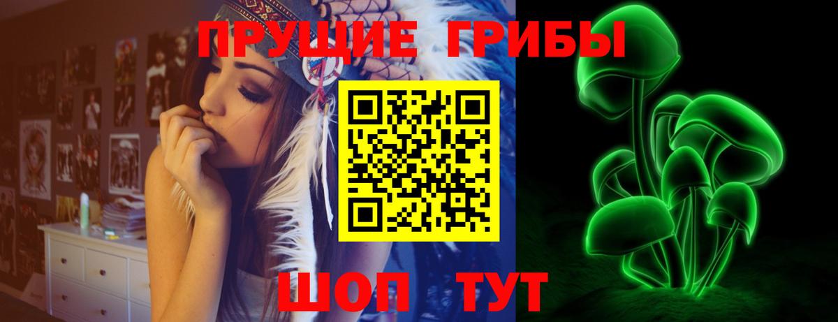 Галлюциногенные грибы ЛСД  Вход с VPN  Вязники  Псилоцибиновые грибы MAGIC MUSHROOMS 